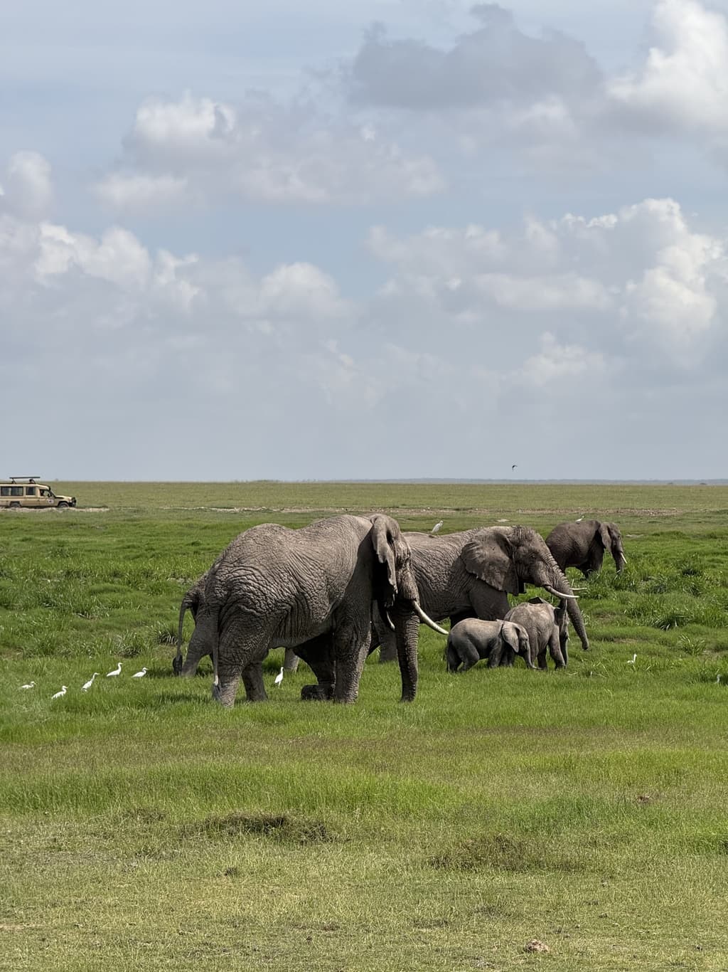 Amboseli National Park